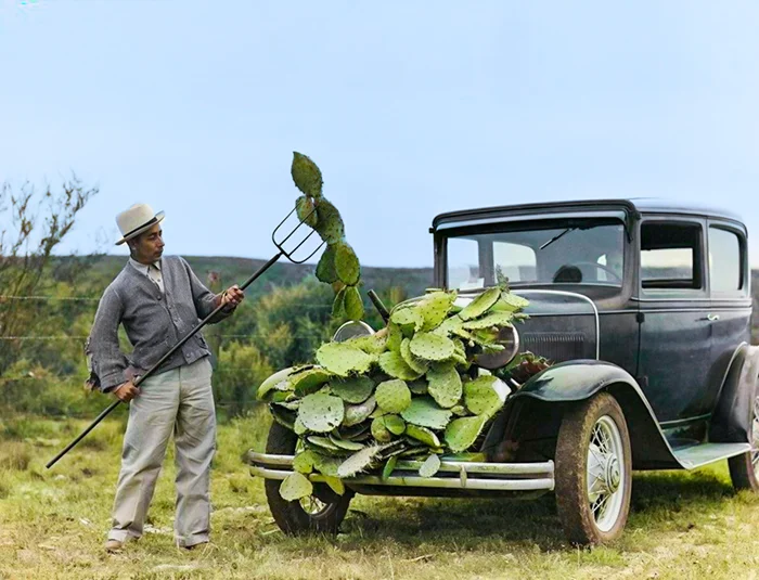 20 редких раскрашенных фотографий США ХХ века: необычные и интересные моменты