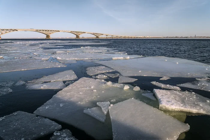 Конец эпохи млекопитающих: как изменится жизнь на Пангее Ультима