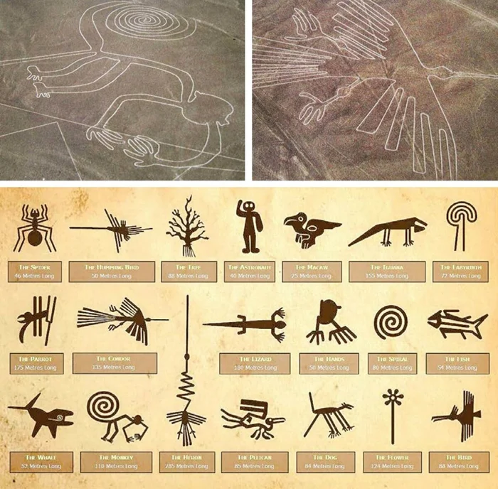 Новые находки на плато Наска: 303 таинственных гигантских изображения