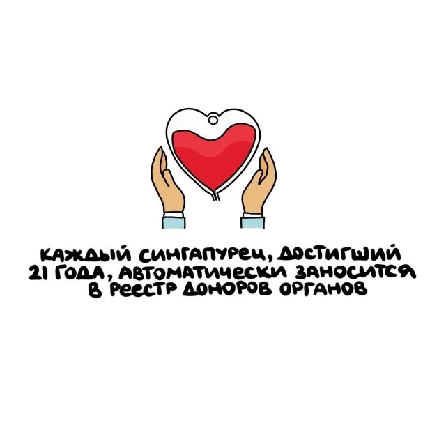 Любопытные факты