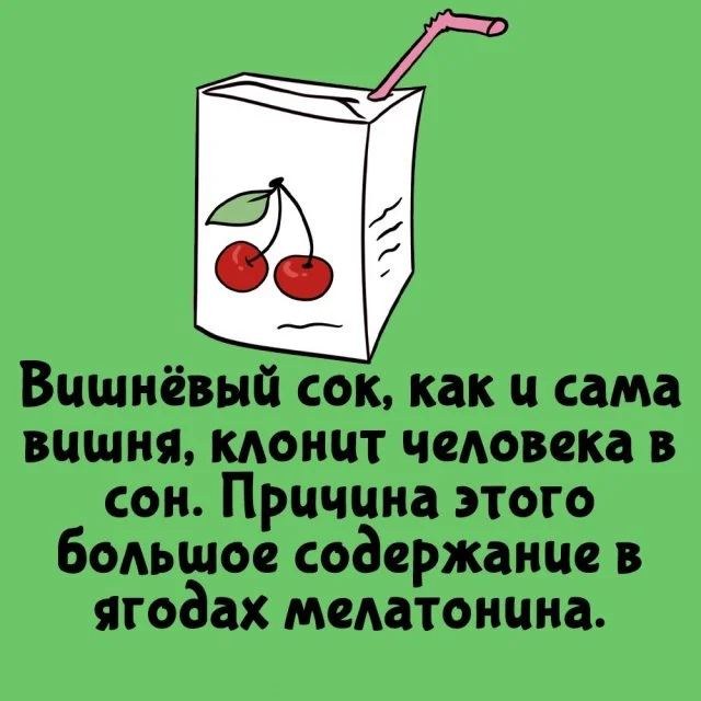 Занимательные факты на каждый день