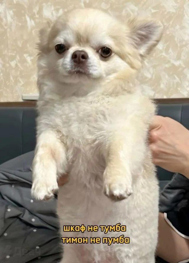 Кто может составить конкуренцию Джейсону Стейтему?