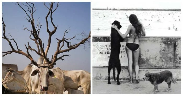 17 выдающихся фотографов, запечатлевших уникальные моменты