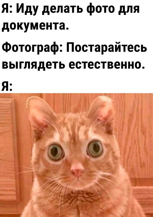 Шоты из под скриншотов