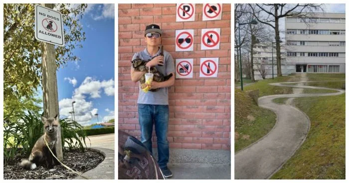 Правила? Нет, не слышали: 25 анархистов, игнорирующих нормы