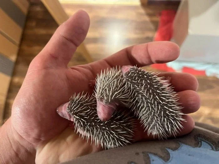 Очередная подборка на общую тему