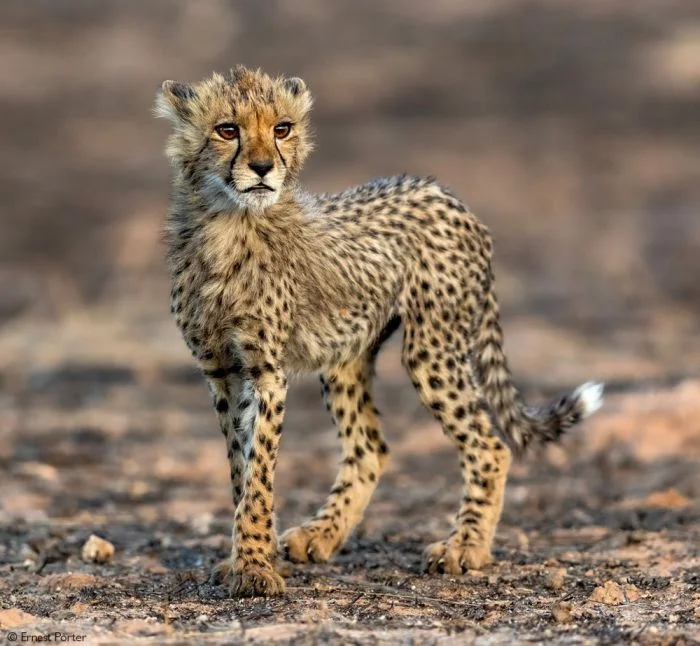 А вот и на общую тему