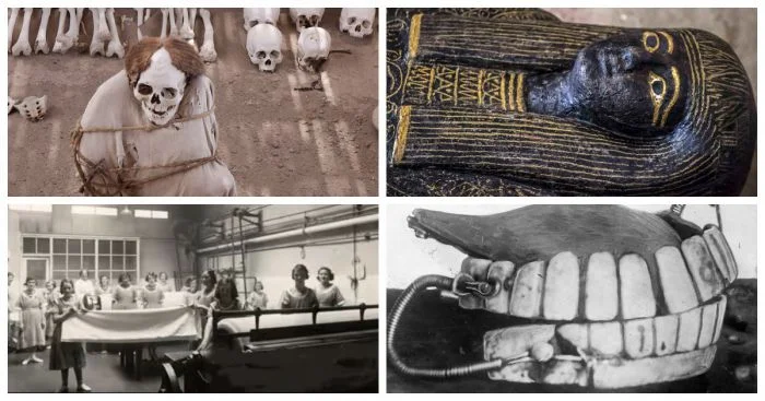 21 удивительный факт, о котором лучше не спрашивать