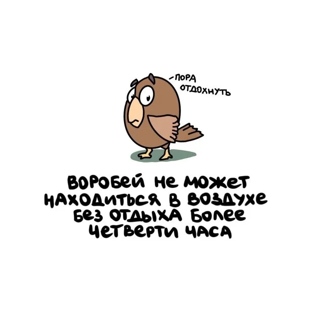 Факты, которые могут удивить вас в любой ситуации