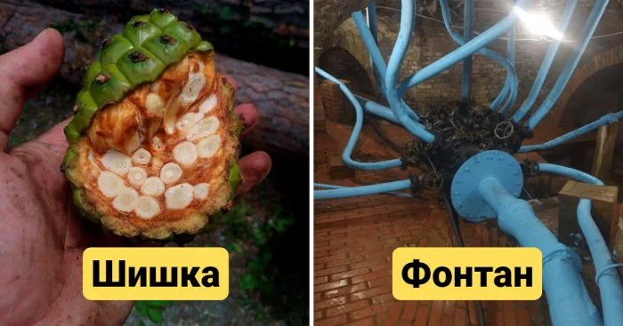 Вещи в разрезе: 18 примеров, которые изменят ваше восприятие обычных предметов