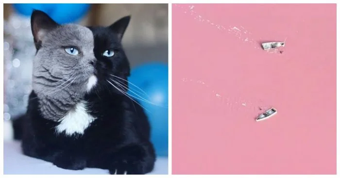 Невероятные снимки: 15 фото, в подлинность которых сложно поверить