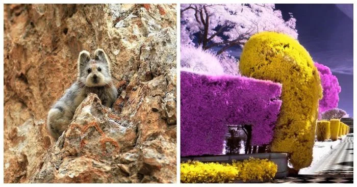 Как обыденное становится удивительным