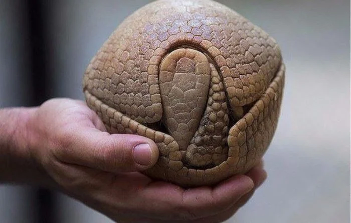 Как обыденное становится удивительным