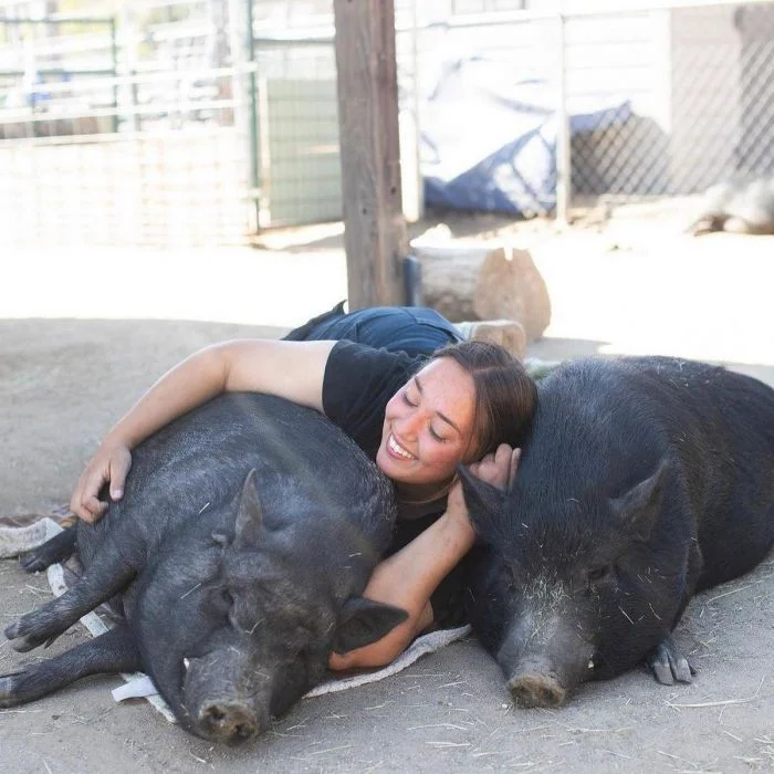 Разное на общую тему