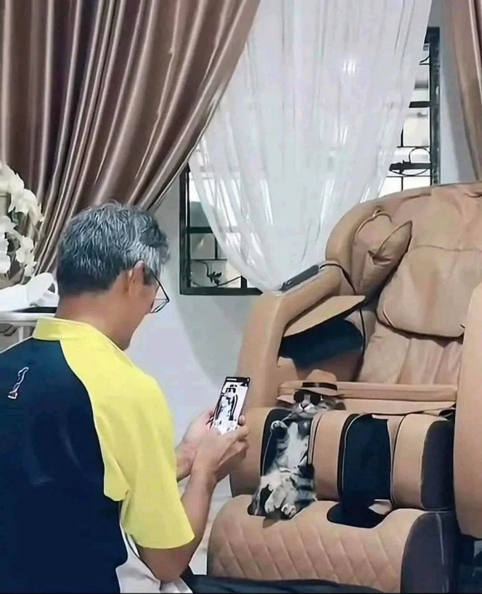 Новая солянка на общую тему