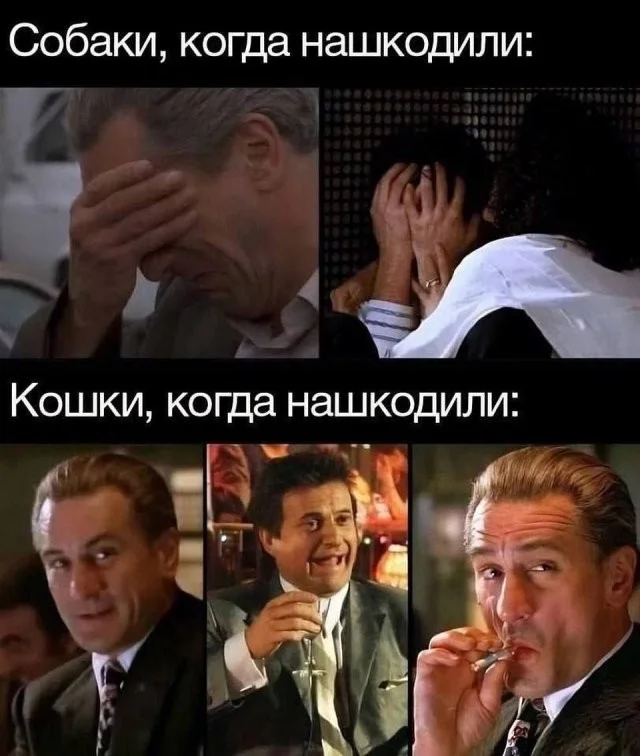 А вот и скрины