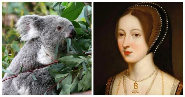 20 жутких фактов об окружающем мире, которые заставят задуматься