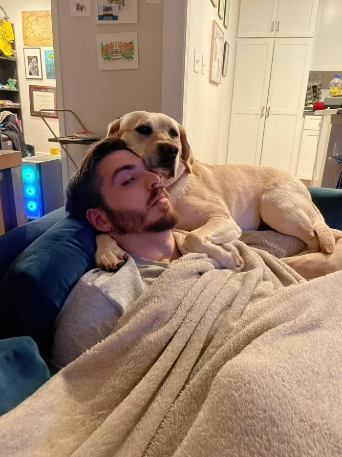 Когда питомцы берут верх: 18 весёлых животных, готовых усесться на голову