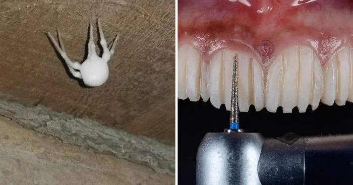 Когда ужасы оказались иллюзией: 15 случаев ложной тревоги