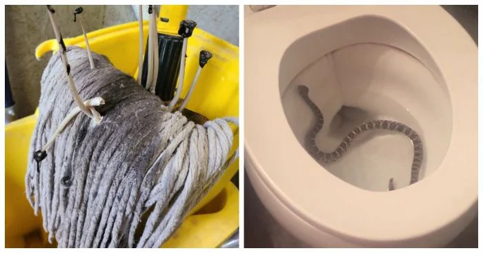 Смех сквозь слёзы: 20 ситуаций, полных жизненных разочарований