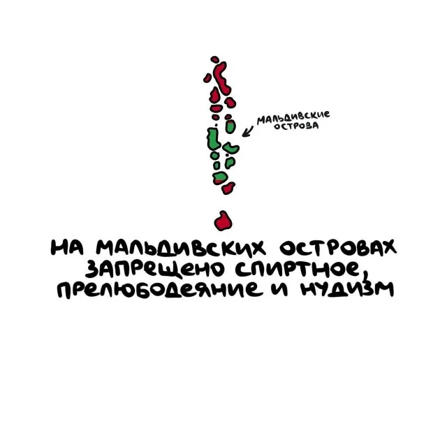 Любопытные факты