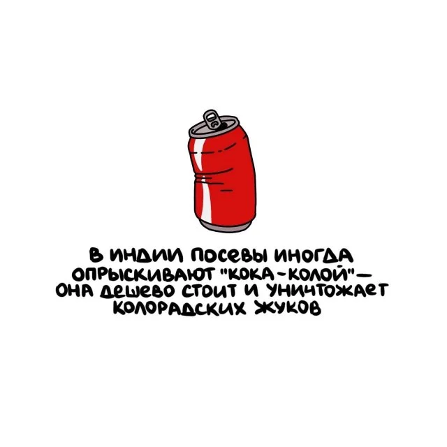 Занимательные факты