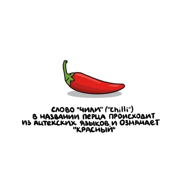 Занимательные факты