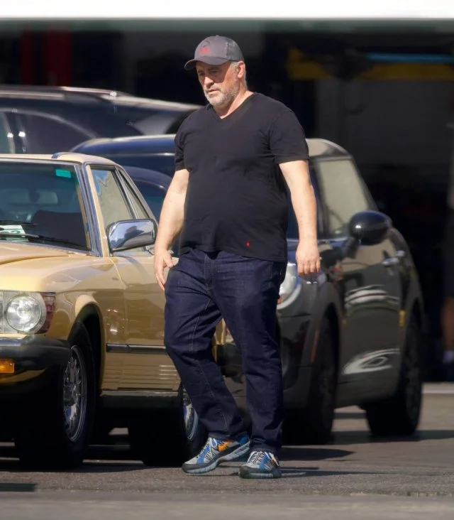 Мэтт Леблан изменился до неузнаваемости