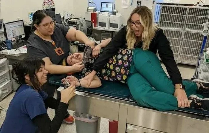 Немного намешалось