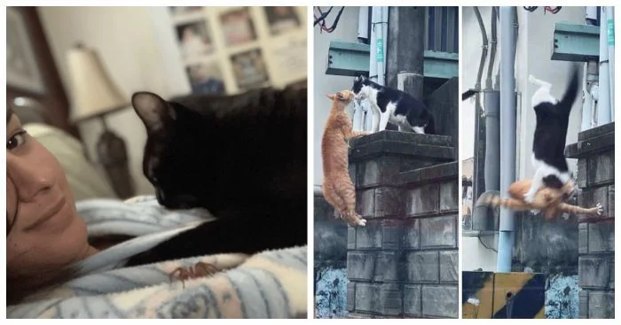 Момент за секунду до беды: 17 забавных изображений