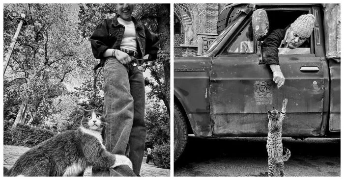 20 котеек, делающих город ярче