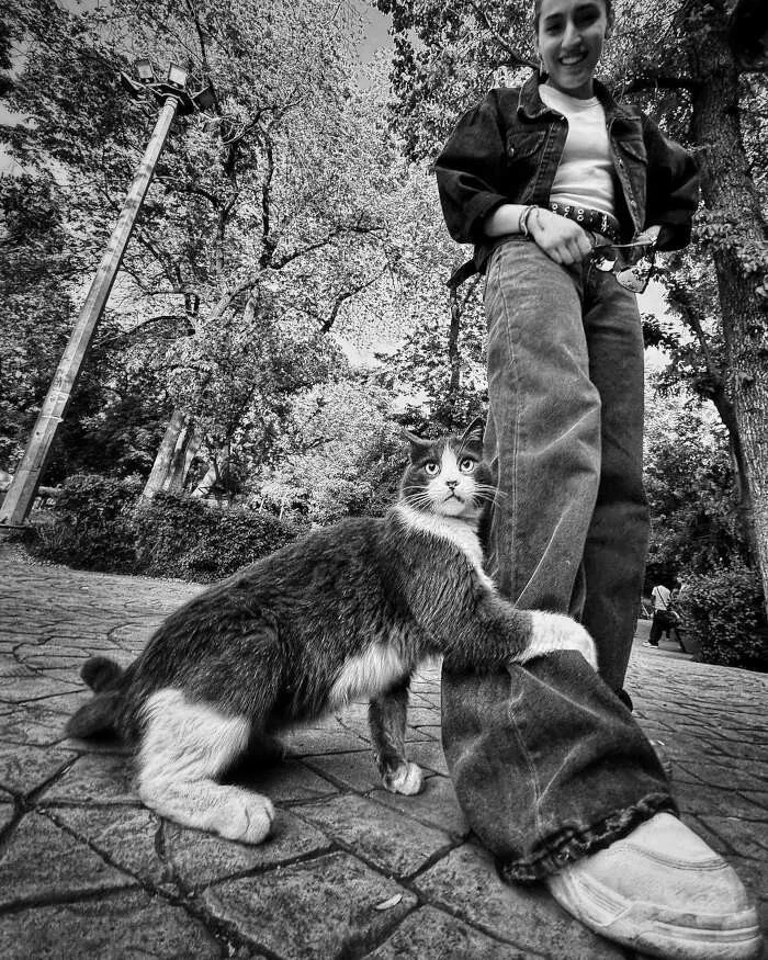 20 котеек, делающих город ярче