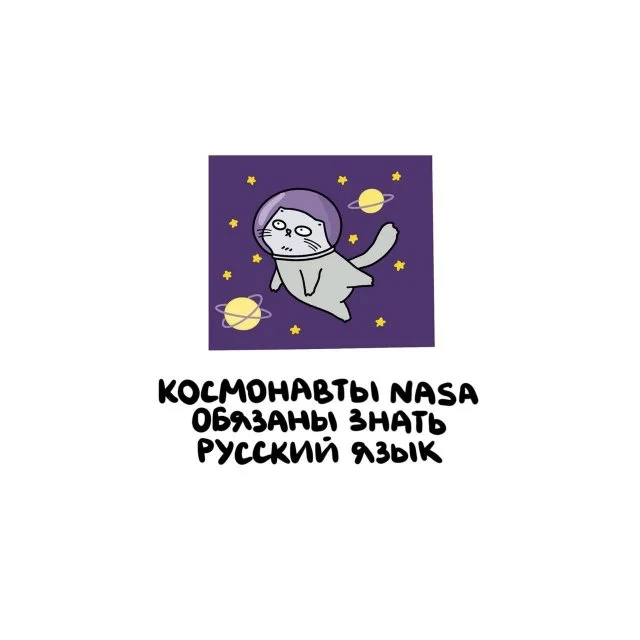 Факты на все случаи: от любопытного к неожиданному