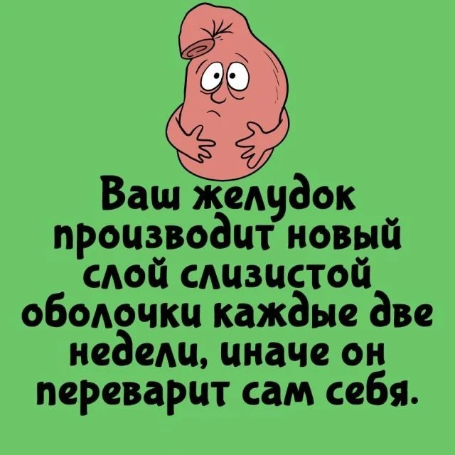 Потрясающие факты на все случаи жизни