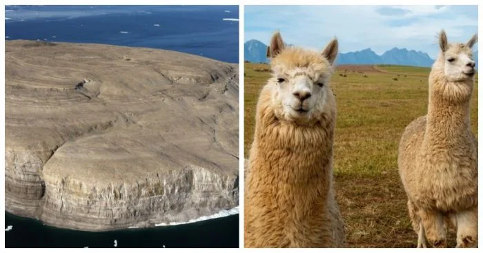 10 увлекательных фактов, которые раскроют вам мир с новой стороны