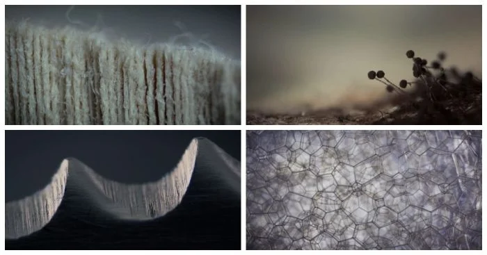 25 впечатляющих макрофотографий привычных вещей