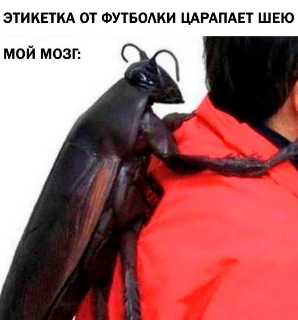 Прикольные картинки #10