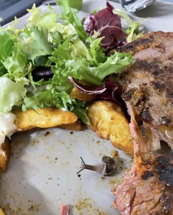 Неожиданные сюрпризы в еде: радость или ужас находки?