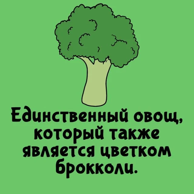 Факты, которые удивят в любой ситуации