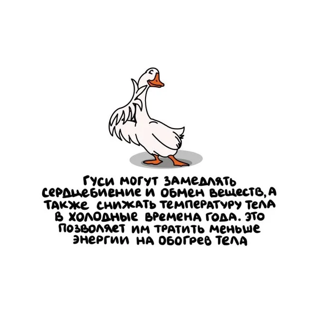 Захватывающие факты на любой случай