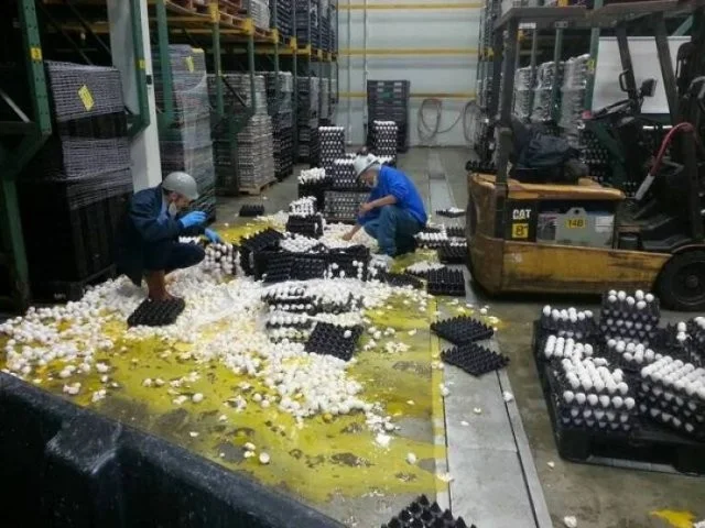 Намешалось: Красивые и интересные картинки