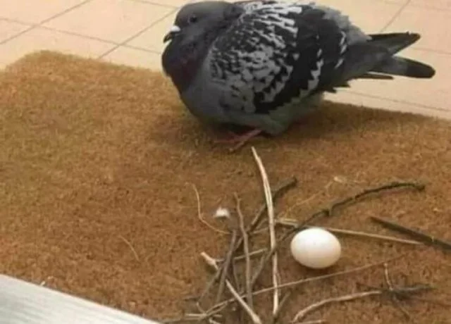 Намешалось: Красивые и интересные картинки