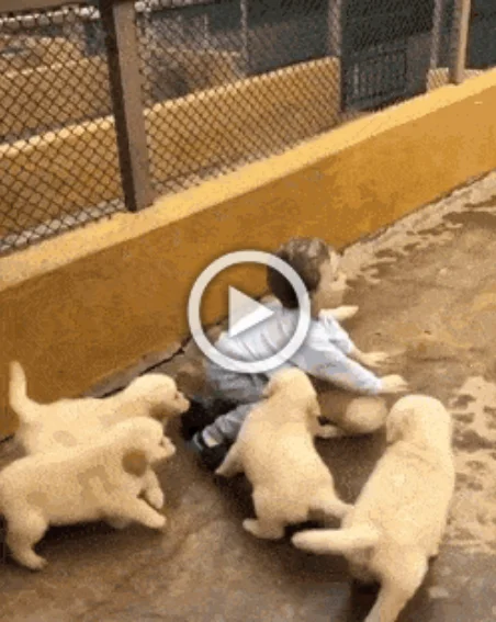 Просто гифки, всякие и разные