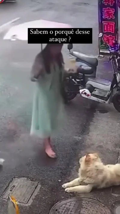 К теме о безопасности: нападение собак на людей