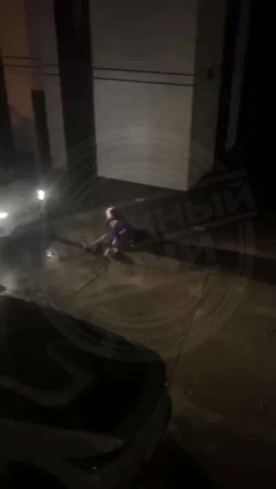 Нападение бродячих собак на женщину в Сочи