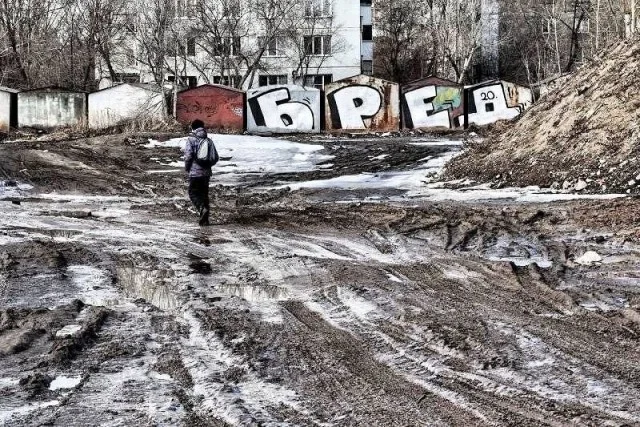 Новые прикольные картинки