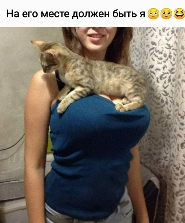 Свежие прикольные картинки