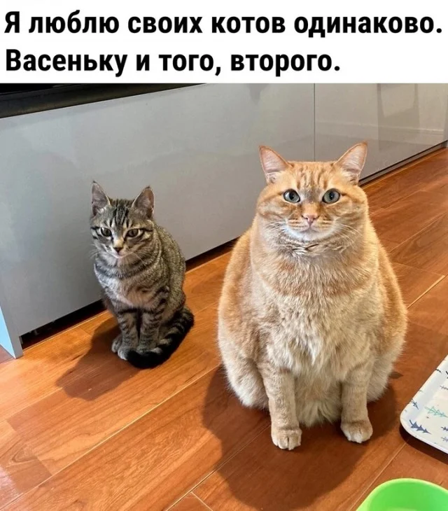 Отличные прикольные картинки