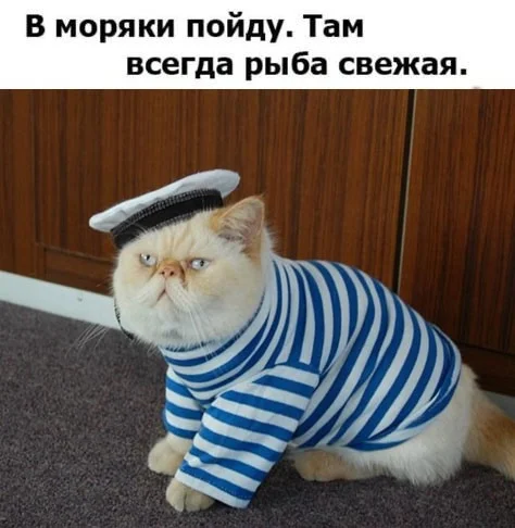 Свежие прикольные картинки