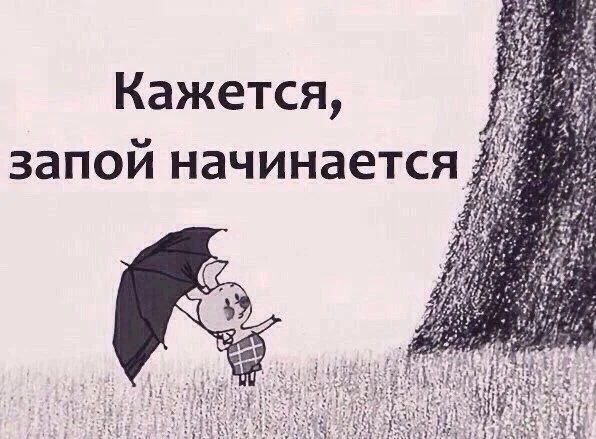 Веселые картинки из интернета